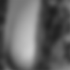 rencontre-Cougar-Mulhouse