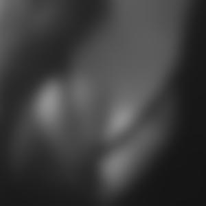 rencontre-Cougar-Cernay