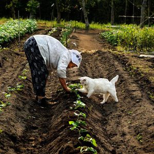 Je cherche un vrai rire ce soir Lin - rencontre-Asiatique-Perpignan